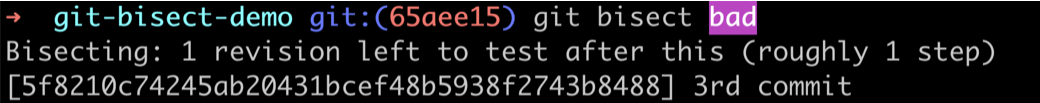 Bisect bad